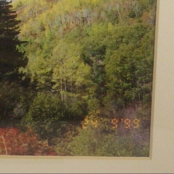 Colorado Landscape Trees Framed Photo Print Buffalo Pass Steamboat Springs - Picture 7 of 8